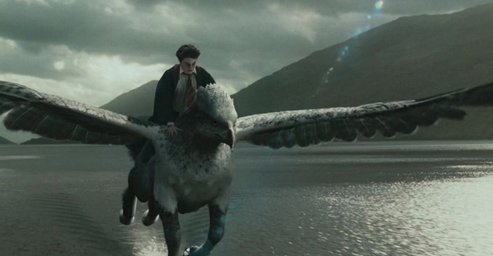 Get-off-his-high-hippogriff