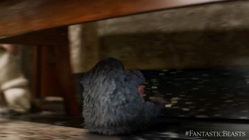 FB_Niffler