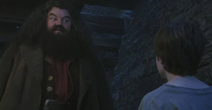 harry-hagrid