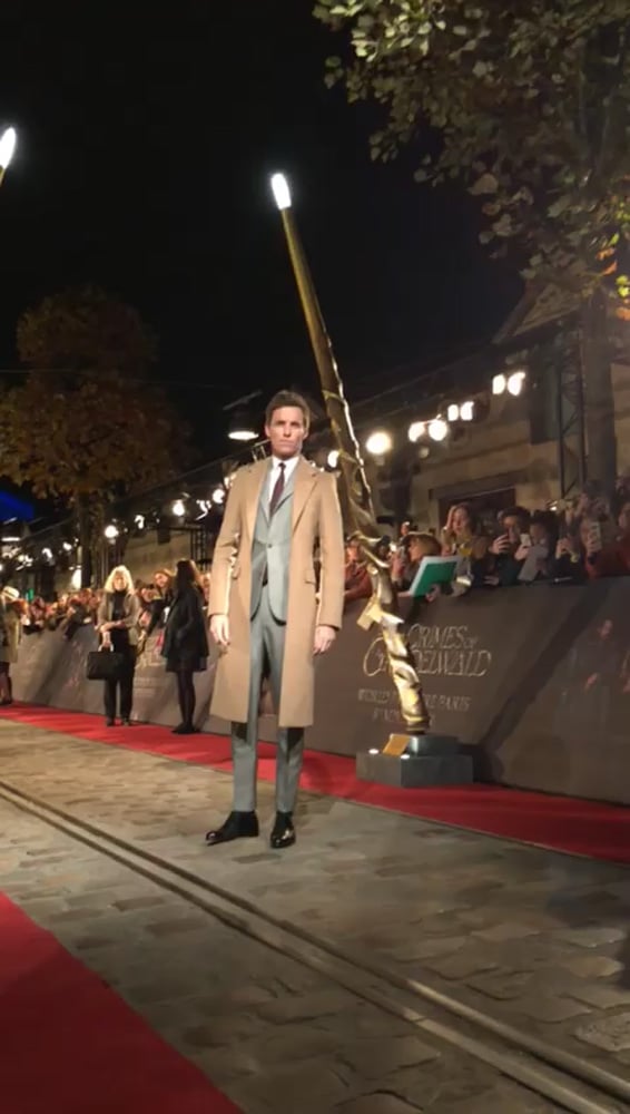 Eddie Redmayne รับบท นิวท์ สคามันเดอร์