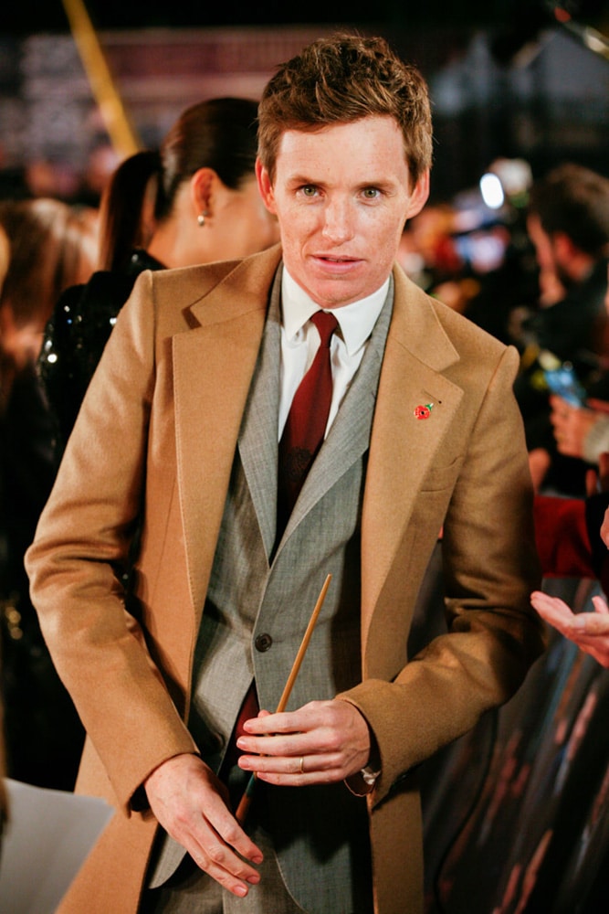Eddie Redmayne รับบท นิวท์ สคามันเดอร์