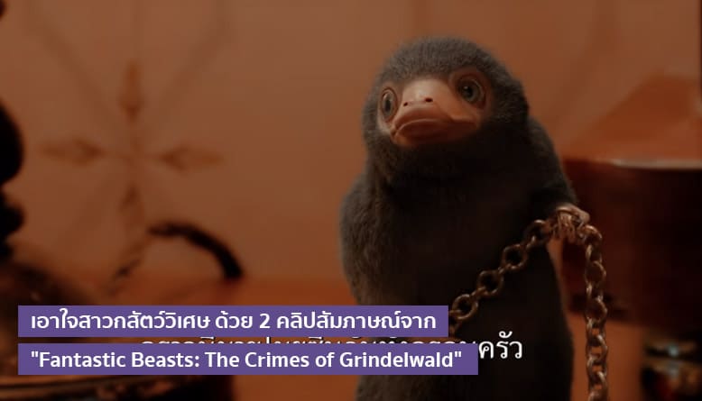 เอาใจสาวกสัตว์วิเศษ ด้วย 2 คลิปสัมภาษณ์จาก "Fantastic Beasts: The Crimes of Grindelwald"