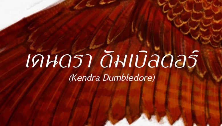 เคนดรา ดัมเบิลดอร์