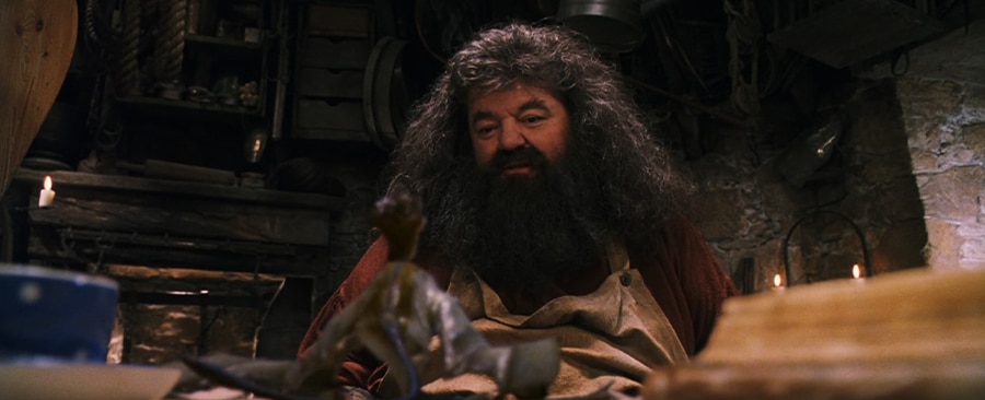 รูเบอัส แฮกริด รับบทโดย ร็อบบี้ โคลเทรน (Robbie Coltrane)